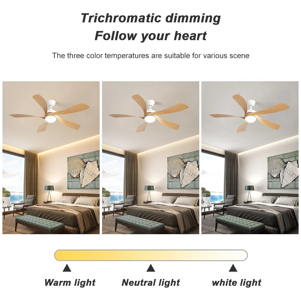 52-Inch Ceiling Fan/LED DC