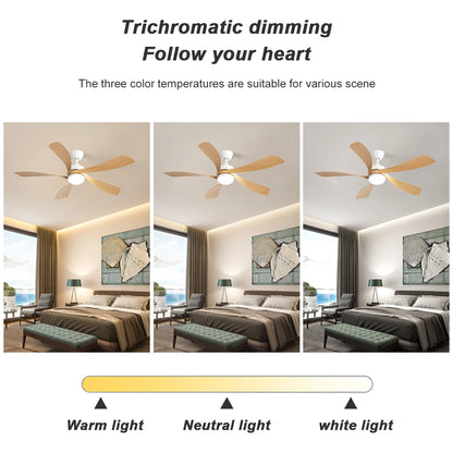 52-Inch Ceiling Fan/LED DC