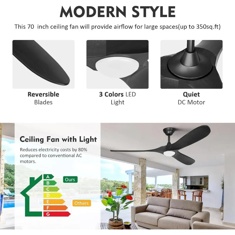 Ceiling Fan With Light/Remote