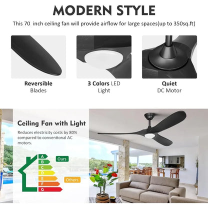 Ceiling Fan With Light/Remote