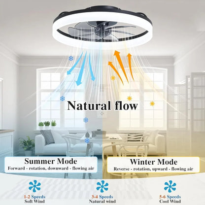 Low Profile Ceiling Fan