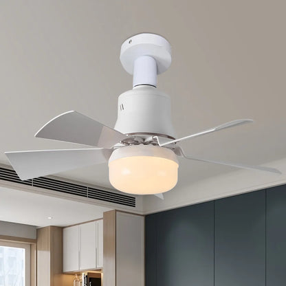 Ceiling Fan/Light/Remote Control