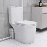 Upflush Toilet in Basement