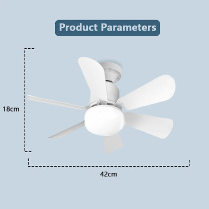 Silent Ceiling Fan/Light