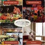 Leaf Fan with LED Light