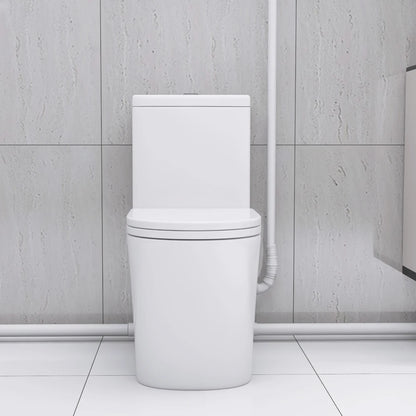 Upflush Toilet in Basement