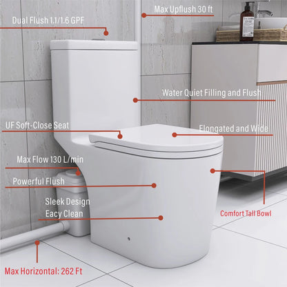 Upflush Toilet in Basement
