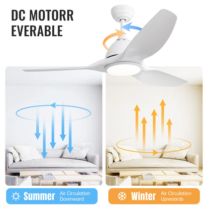 52-Inch Ceiling Fan/LED DC