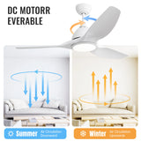 52-Inch Ceiling Fan/LED DC