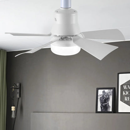 Ceiling Fan/Light/Remote Control