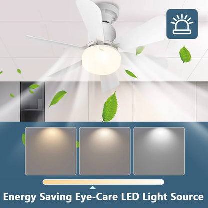 Silent Ceiling Fan/Light