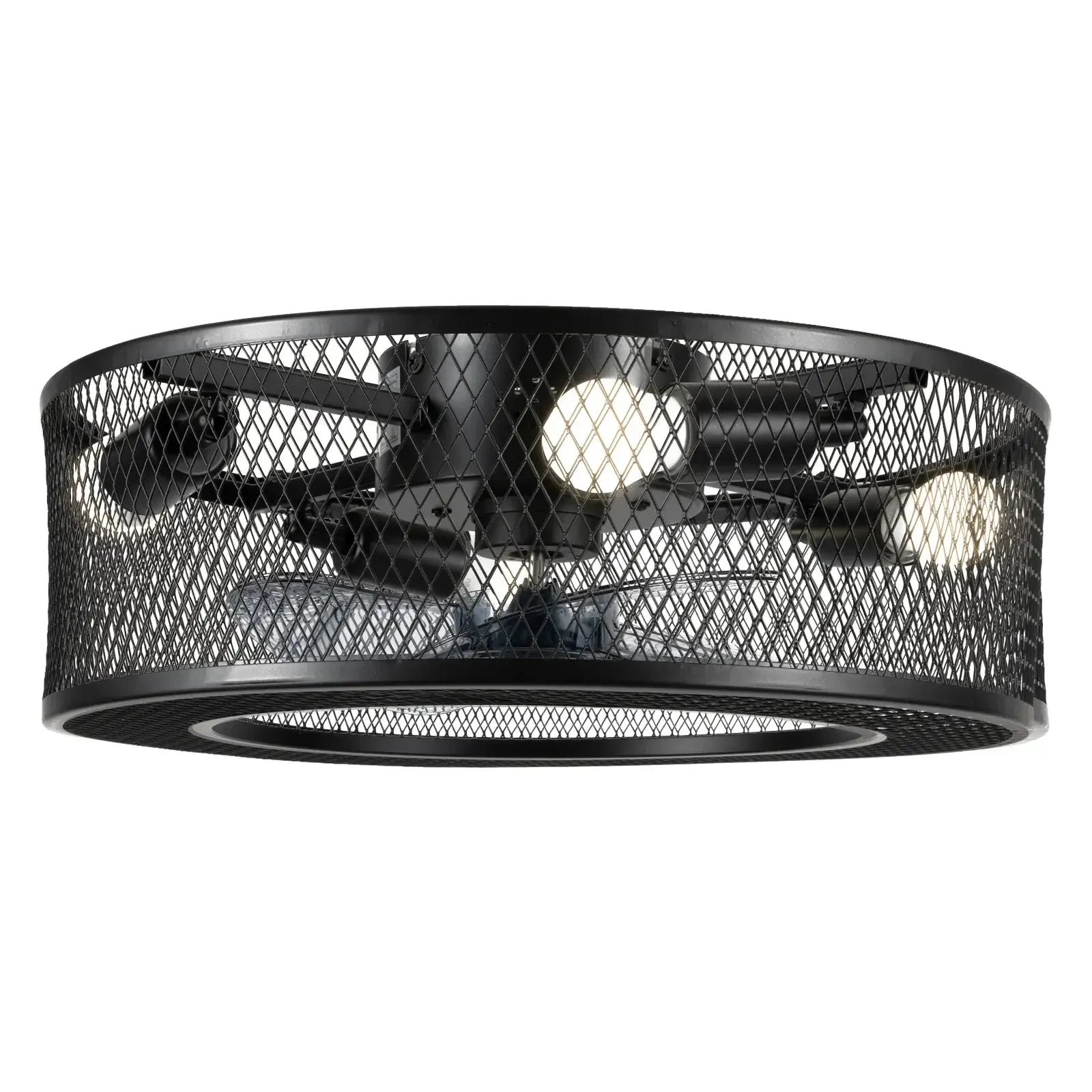 Caged Ceiling Fan with Integrated Light Fixture