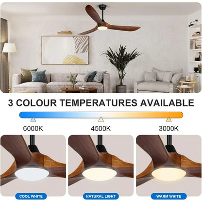 Outdoor Ceiling Fan/Light