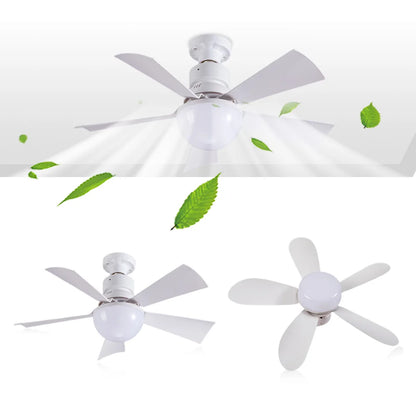30W LED Light Ceiling Fan