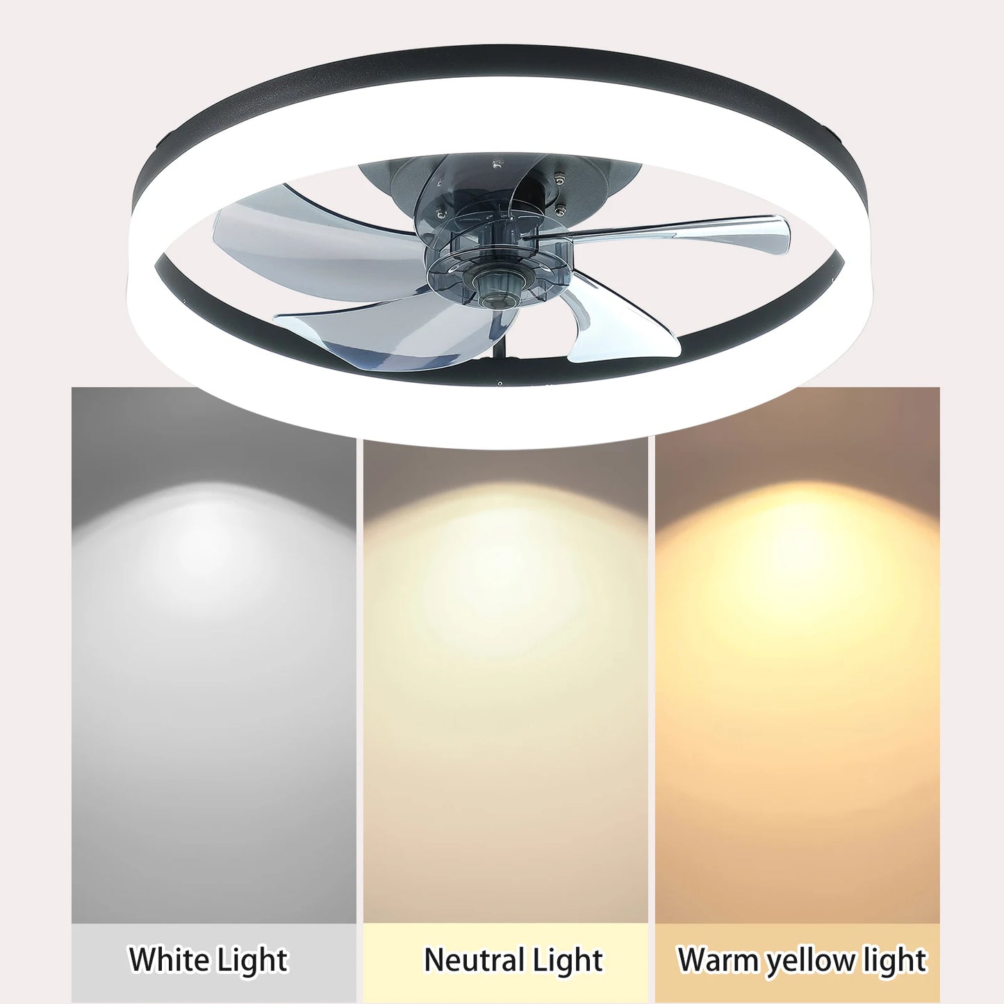 LED Fan Light 20 Inch Stylish & Functional Ceiling Fan