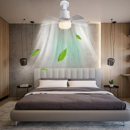 Ceiling Fan/Light/Remote Control