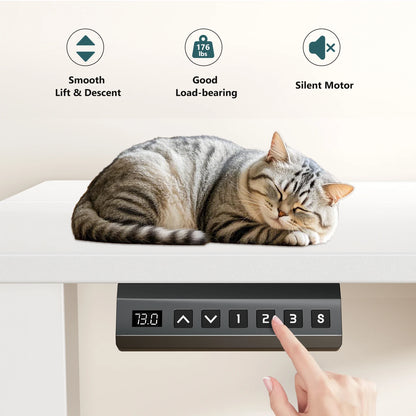 Electric Standing Desk Adjustable Desk for Home & Office