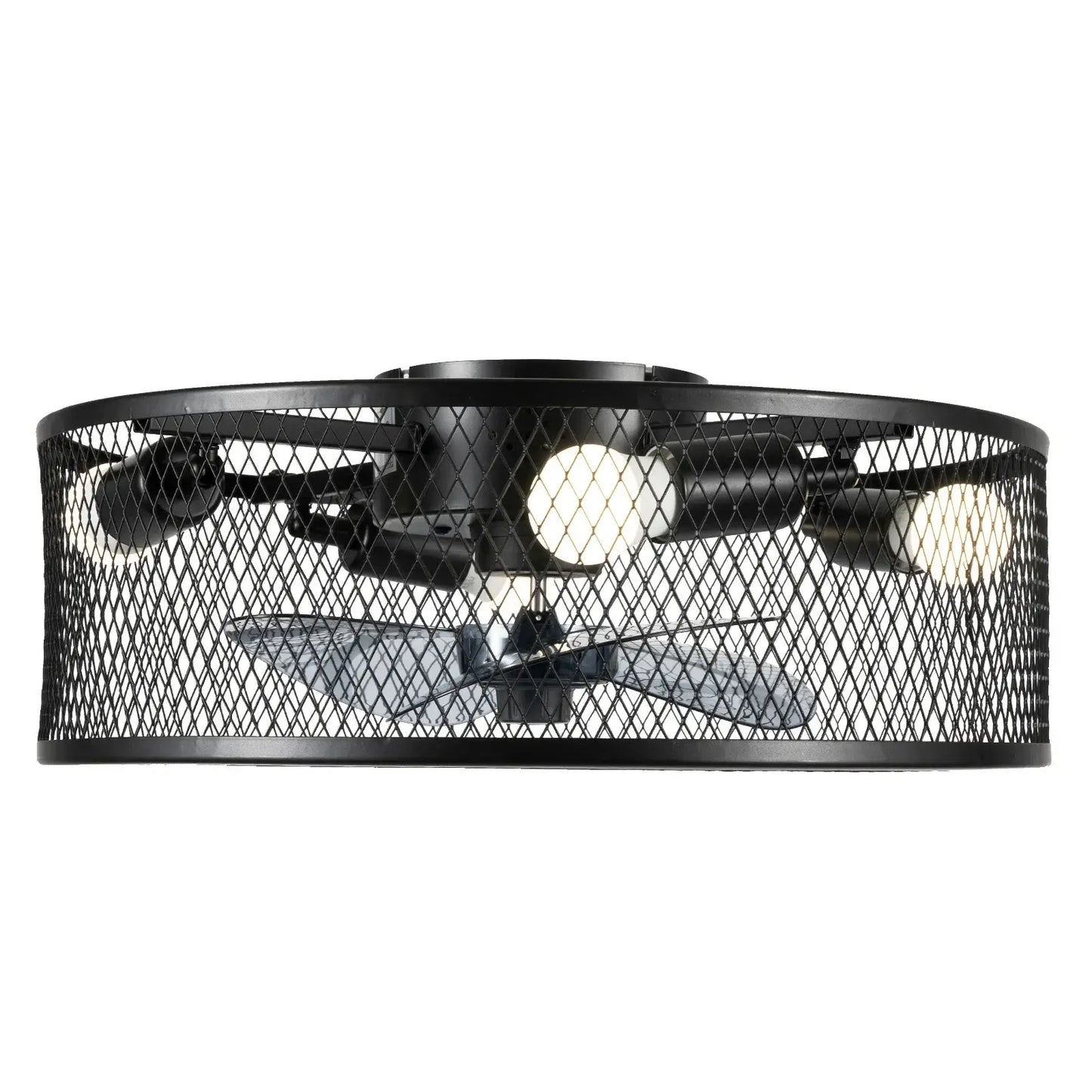 Caged Ceiling Fan with Integrated Light Fixture