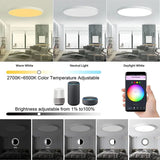 Smart WiFi Ceiling Light