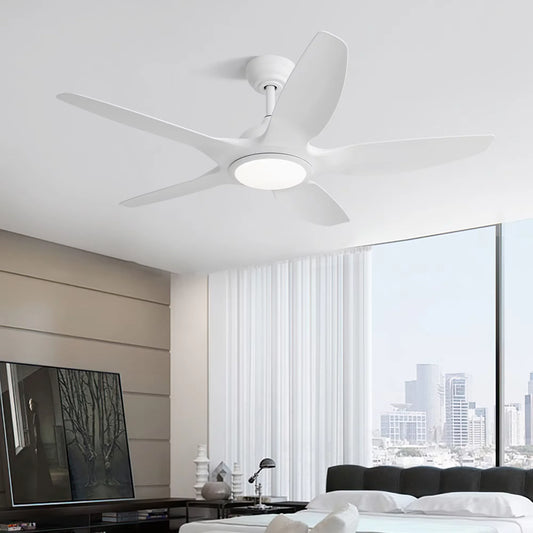 48-Inch Ceiling Fan/LED DC