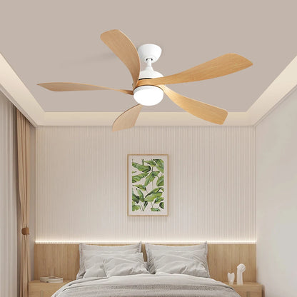 52-Inch Ceiling Fan/LED DC