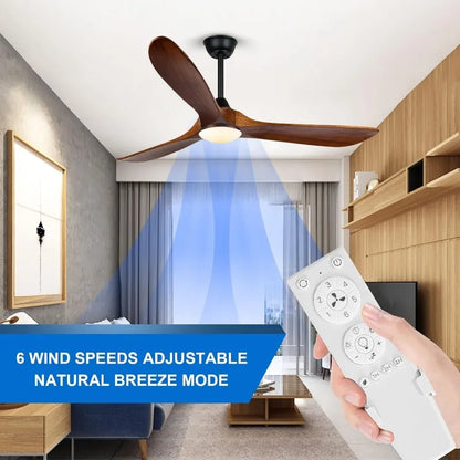 60-Inch Ceiling Fan/Light