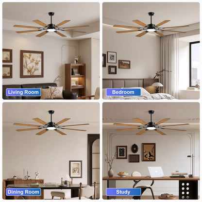 Black Ceiling Fan/Lights