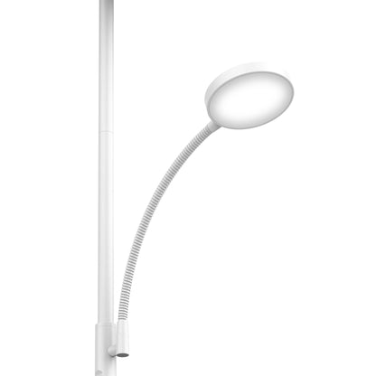 Floor Lamp with Remote Control