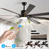 Ceiling Fan/72 Inch/LED Light