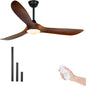 60-Inch Ceiling Fan/Light