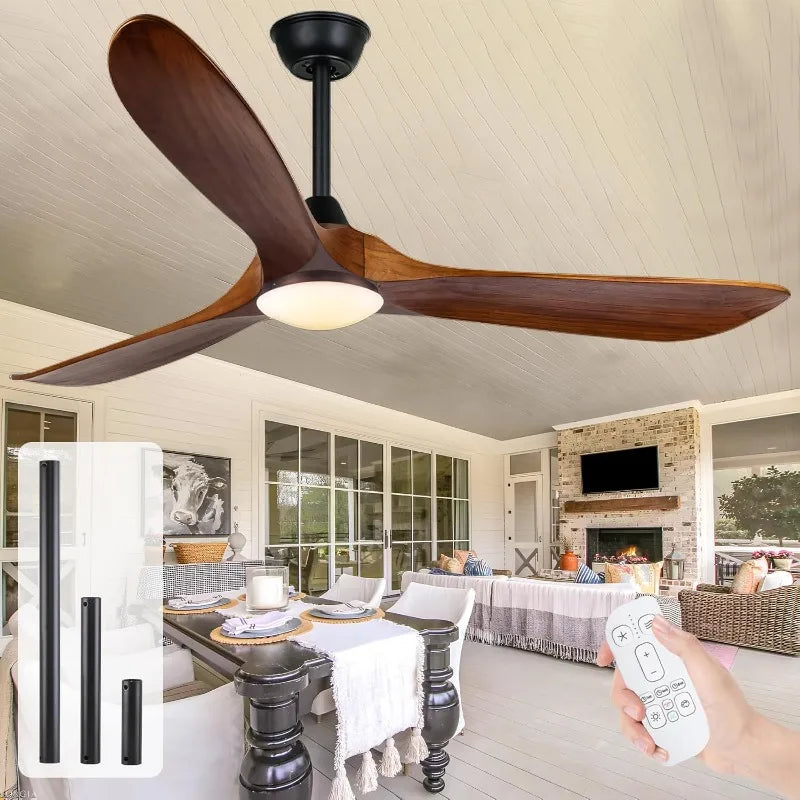 Outdoor Ceiling Fan/Light