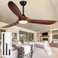 Outdoor Ceiling Fan/Light