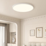 Flush Mount Ceiling Light/LED