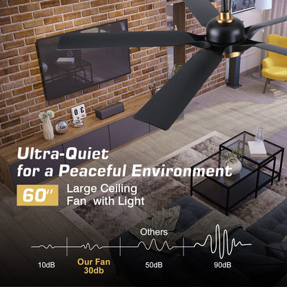 60 Inch Ceiling Fan with Light